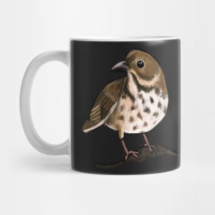 Hermit Thrush Mug